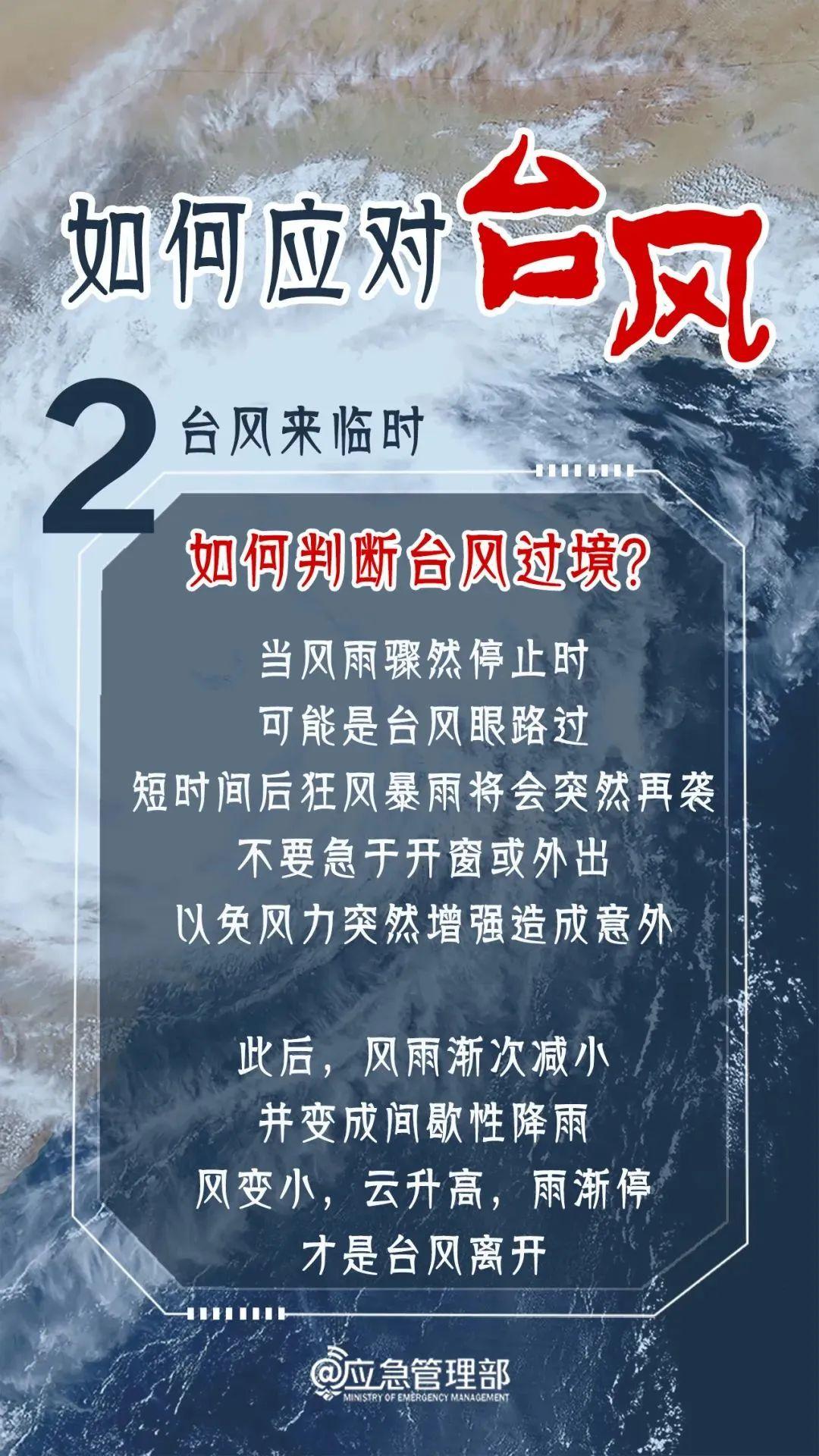 新闻台风最新情况报告更新，实时动态与影响分析