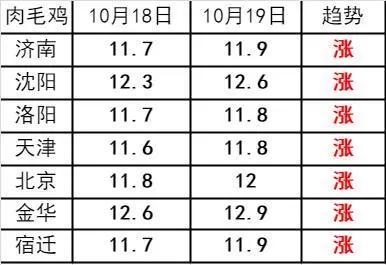 今日苗鸡价格行情及分析简报，最新动态与市场洞察