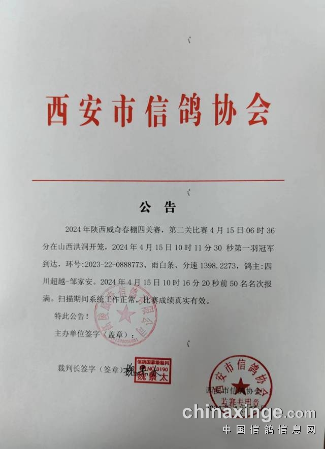 西安威奇公棚最新公告详解及公告概览